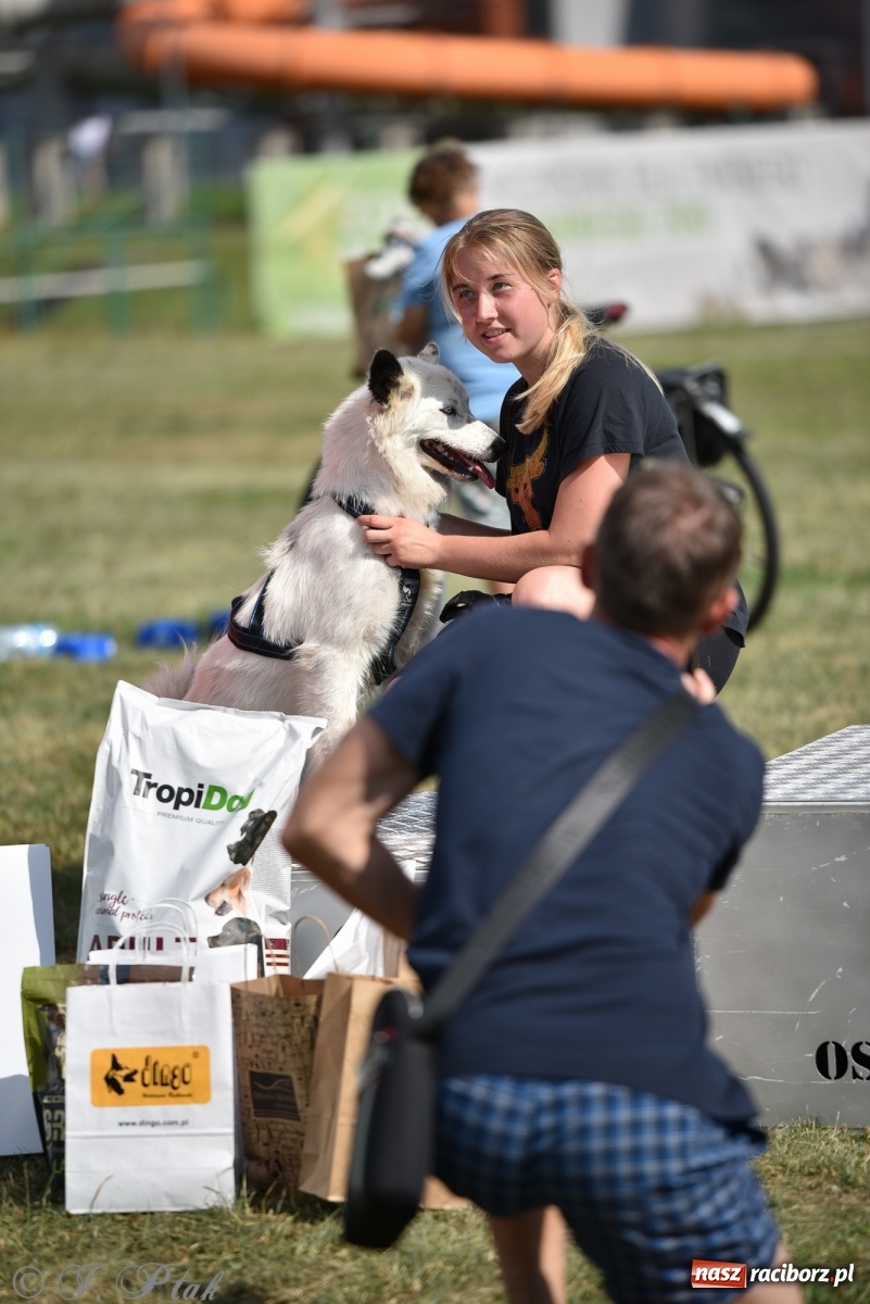 Zdjęcie w galerii na portalu naszraciborz.pl: I raciborskie zawody w dogtrekkingu [FOTO i WIDEO] wiadomości z regionu