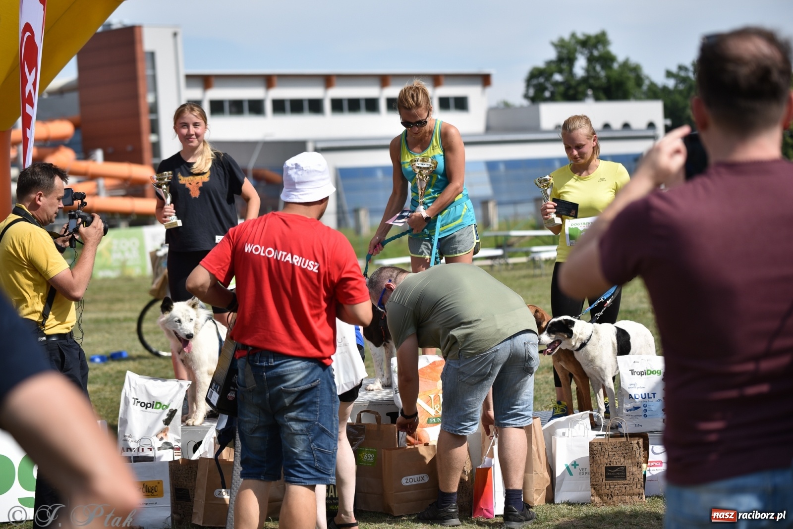 Zdjęcie w galerii na portalu naszraciborz.pl: I raciborskie zawody w dogtrekkingu [FOTO i WIDEO] wiadomości z regionu
