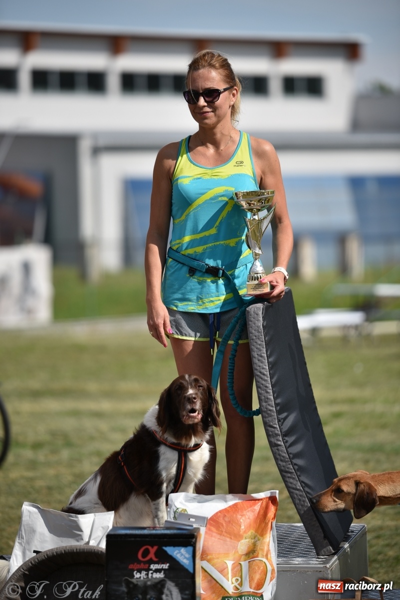 Zdjęcie w galerii na portalu naszraciborz.pl: I raciborskie zawody w dogtrekkingu [FOTO i WIDEO] wiadomości z regionu