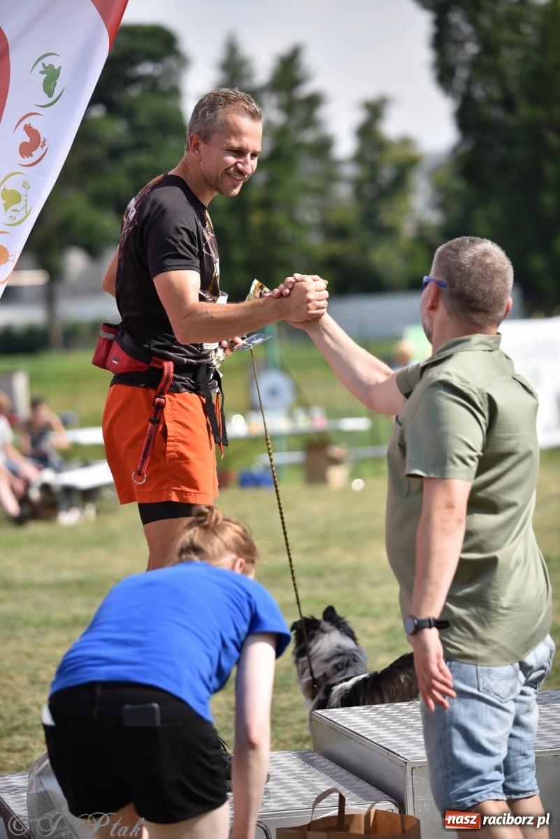 Zdjęcie w galerii na portalu naszraciborz.pl: I raciborskie zawody w dogtrekkingu [FOTO i WIDEO] wiadomości z regionu