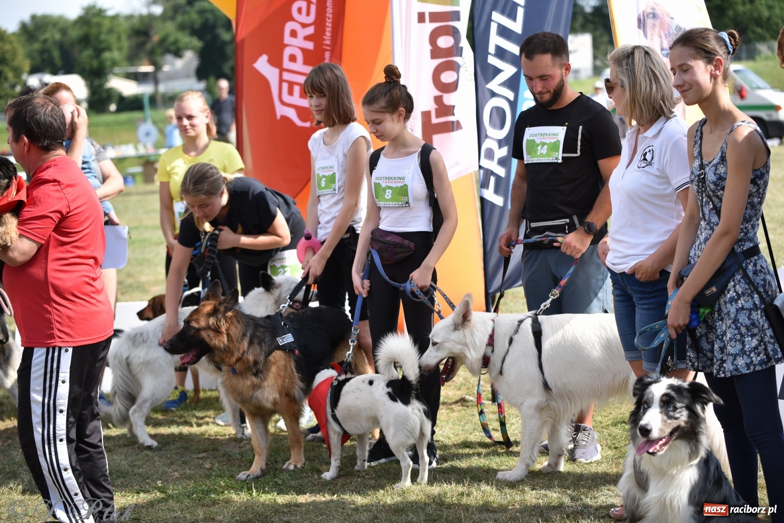 Zdjęcie w galerii na portalu naszraciborz.pl: I raciborskie zawody w dogtrekkingu [FOTO i WIDEO] wiadomości z regionu