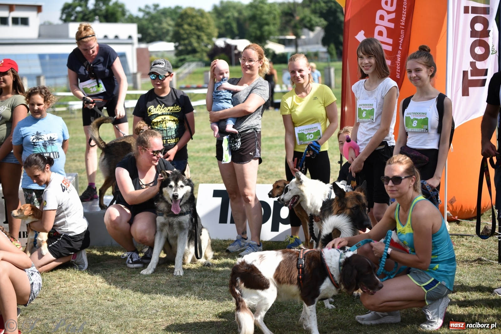 Zdjęcie w galerii na portalu naszraciborz.pl: I raciborskie zawody w dogtrekkingu [FOTO i WIDEO] wiadomości z regionu