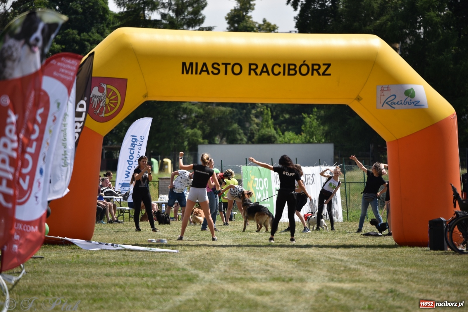 Zdjęcie w galerii na portalu naszraciborz.pl: I raciborskie zawody w dogtrekkingu [FOTO i WIDEO] wiadomości z regionu