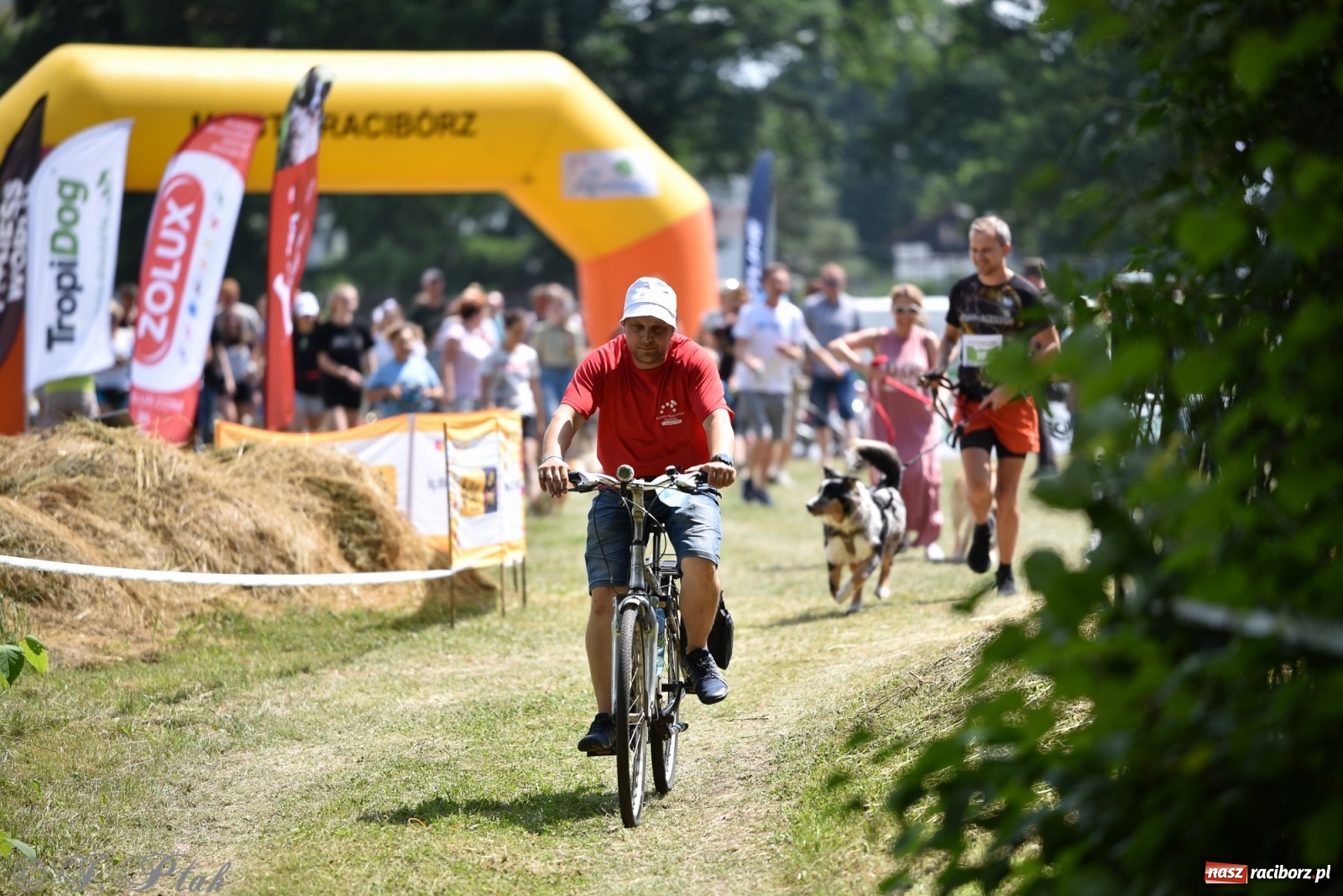 Zdjęcie w galerii na portalu naszraciborz.pl: I raciborskie zawody w dogtrekkingu [FOTO i WIDEO] wiadomości z regionu