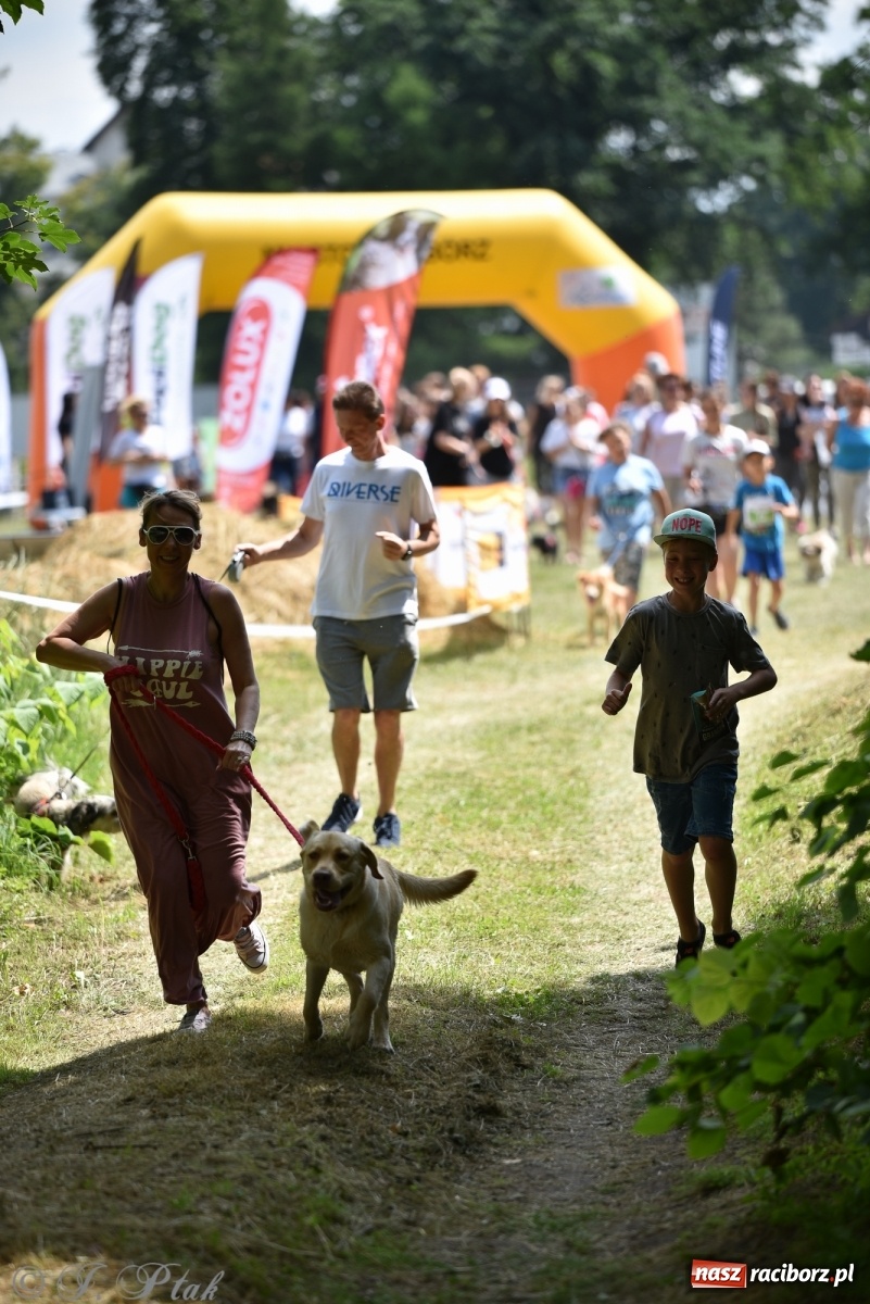 Zdjęcie w galerii na portalu naszraciborz.pl: I raciborskie zawody w dogtrekkingu [FOTO i WIDEO] wiadomości z regionu
