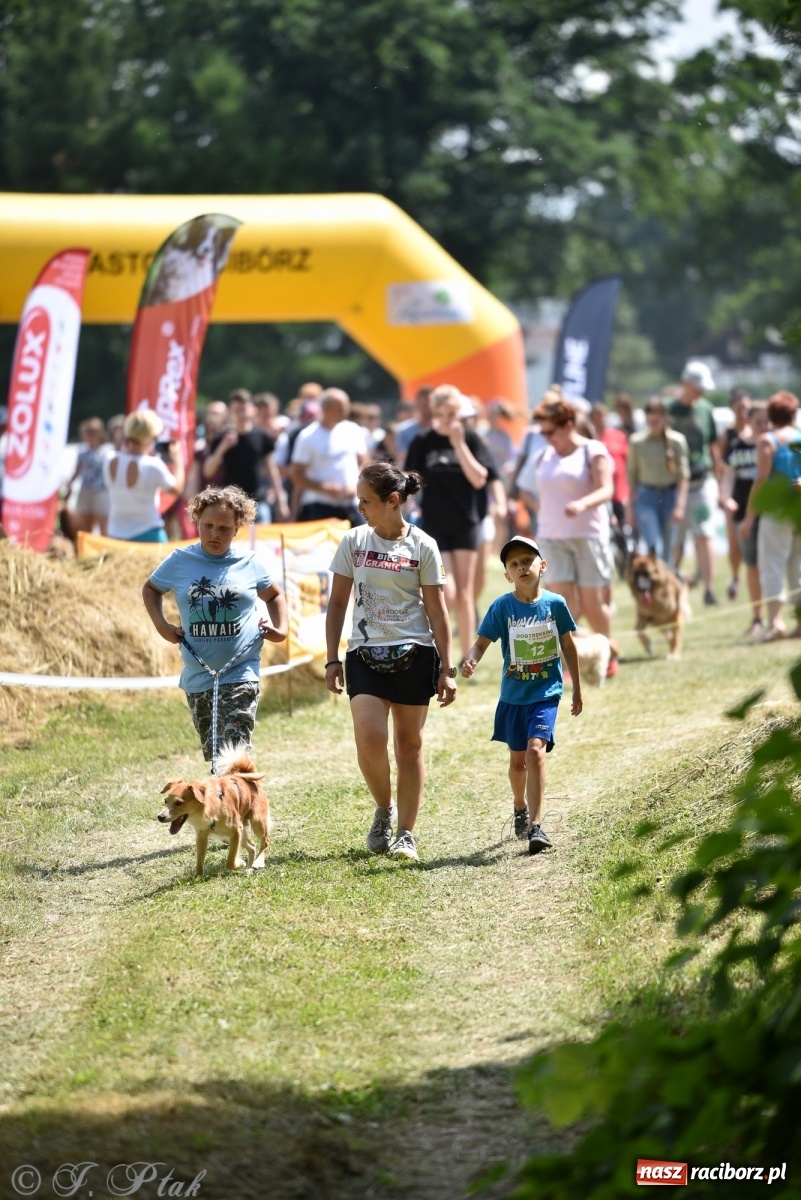 Zdjęcie w galerii na portalu naszraciborz.pl: I raciborskie zawody w dogtrekkingu [FOTO i WIDEO] wiadomości z regionu