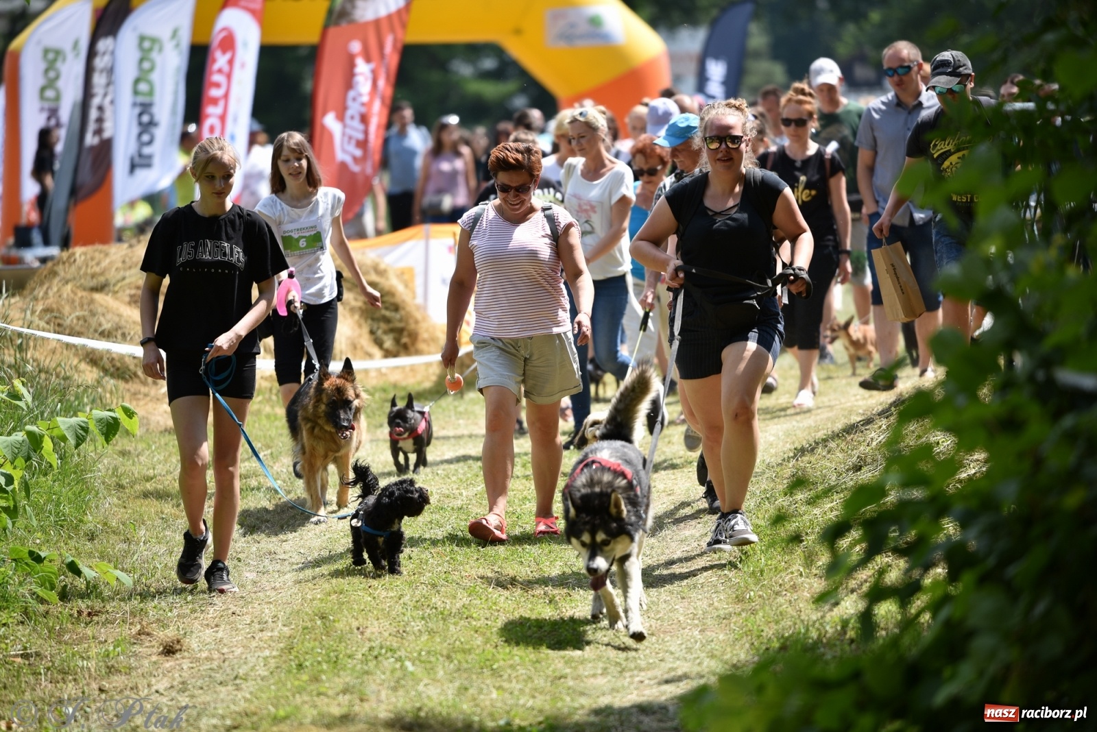 Zdjęcie w galerii na portalu naszraciborz.pl: I raciborskie zawody w dogtrekkingu [FOTO i WIDEO] wiadomości z regionu