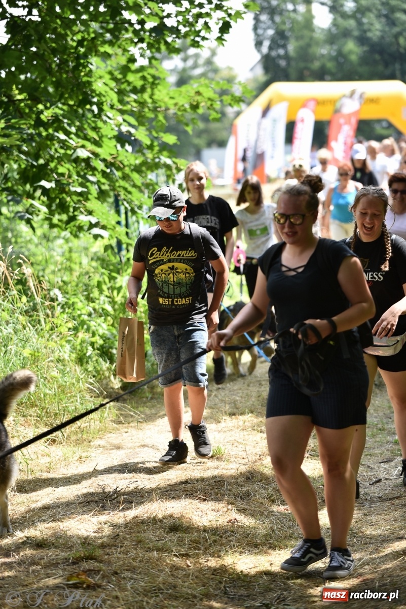 Zdjęcie w galerii na portalu naszraciborz.pl: I raciborskie zawody w dogtrekkingu [FOTO i WIDEO] wiadomości z regionu