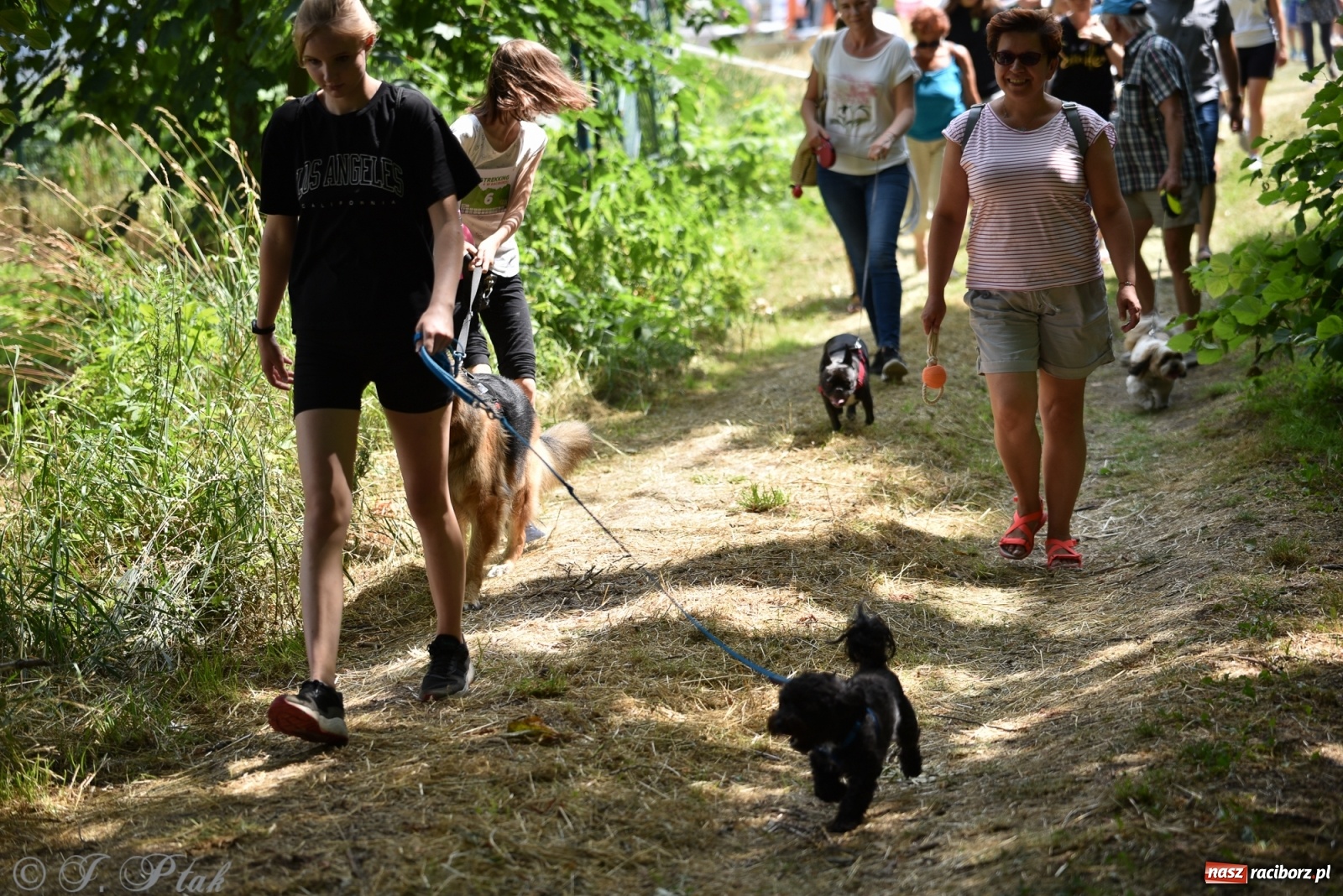 Zdjęcie w galerii na portalu naszraciborz.pl: I raciborskie zawody w dogtrekkingu [FOTO i WIDEO] wiadomości z regionu
