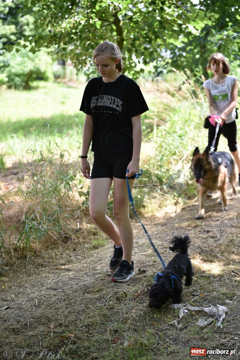 Zdjęcie w galerii na portalu naszraciborz.pl: I raciborskie zawody w dogtrekkingu [FOTO i WIDEO] wiadomości z regionu