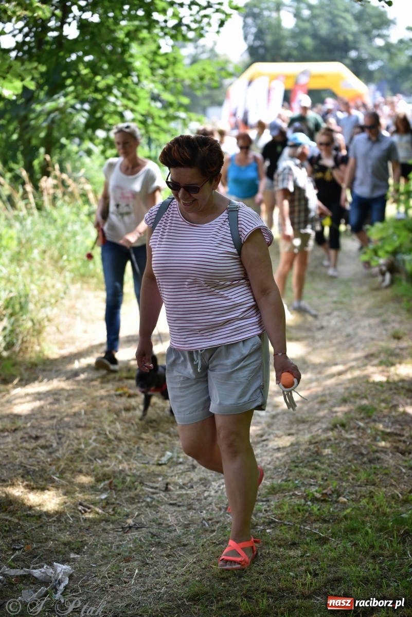 Zdjęcie w galerii na portalu naszraciborz.pl: I raciborskie zawody w dogtrekkingu [FOTO i WIDEO] wiadomości z regionu