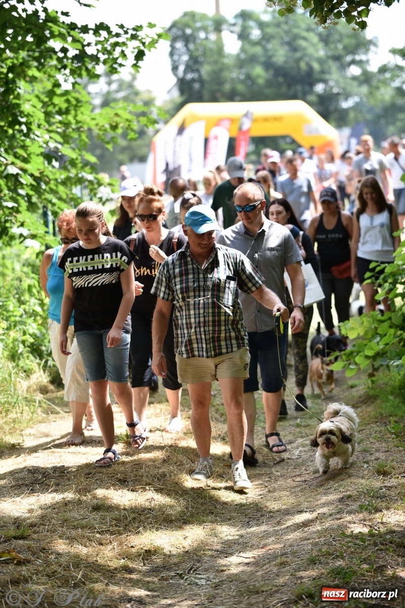 Zdjęcie w galerii na portalu naszraciborz.pl: I raciborskie zawody w dogtrekkingu [FOTO i WIDEO] wiadomości z regionu