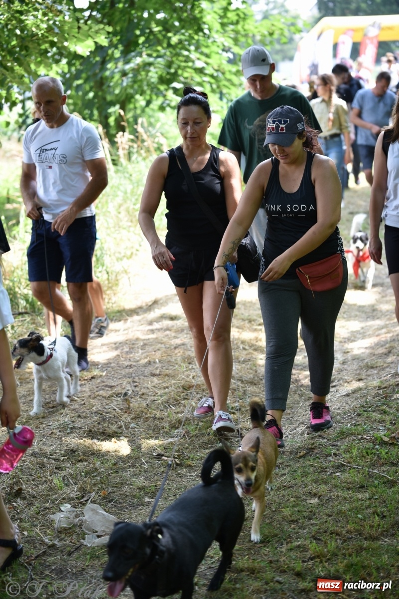Zdjęcie w galerii na portalu naszraciborz.pl: I raciborskie zawody w dogtrekkingu [FOTO i WIDEO] wiadomości z regionu