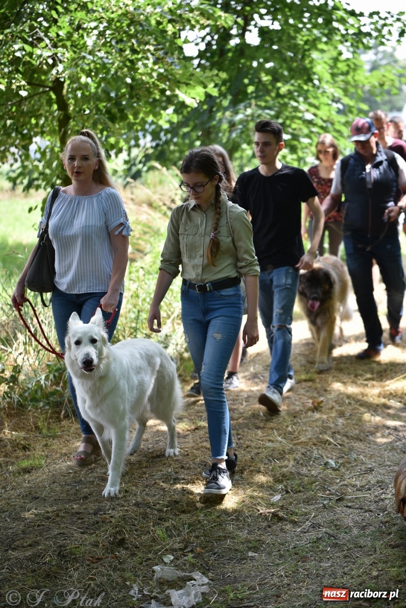 Zdjęcie w galerii na portalu naszraciborz.pl: I raciborskie zawody w dogtrekkingu [FOTO i WIDEO] wiadomości z regionu