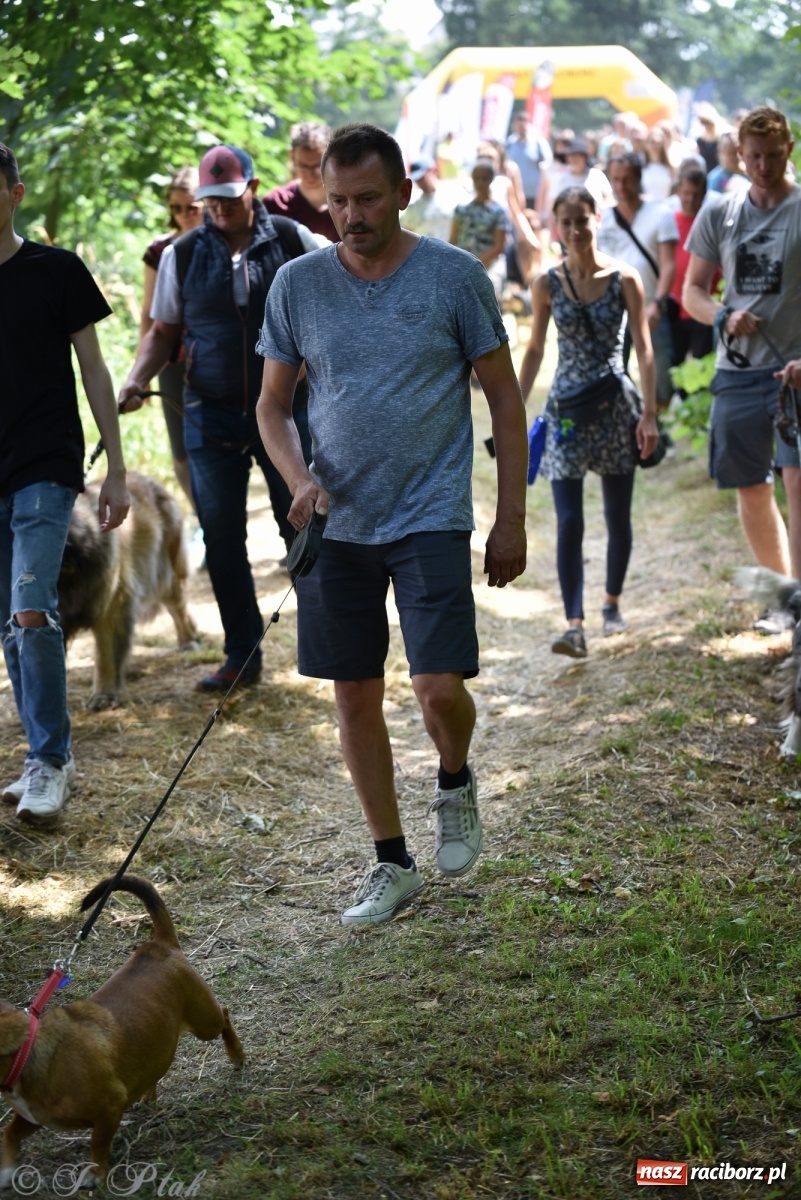 Zdjęcie w galerii na portalu naszraciborz.pl: I raciborskie zawody w dogtrekkingu [FOTO i WIDEO] wiadomości z regionu