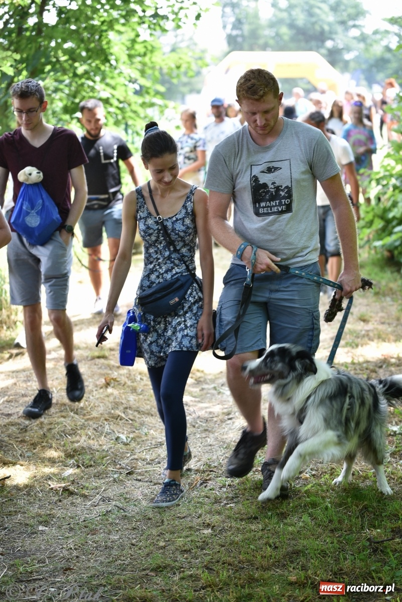 Zdjęcie w galerii na portalu naszraciborz.pl: I raciborskie zawody w dogtrekkingu [FOTO i WIDEO] wiadomości z regionu