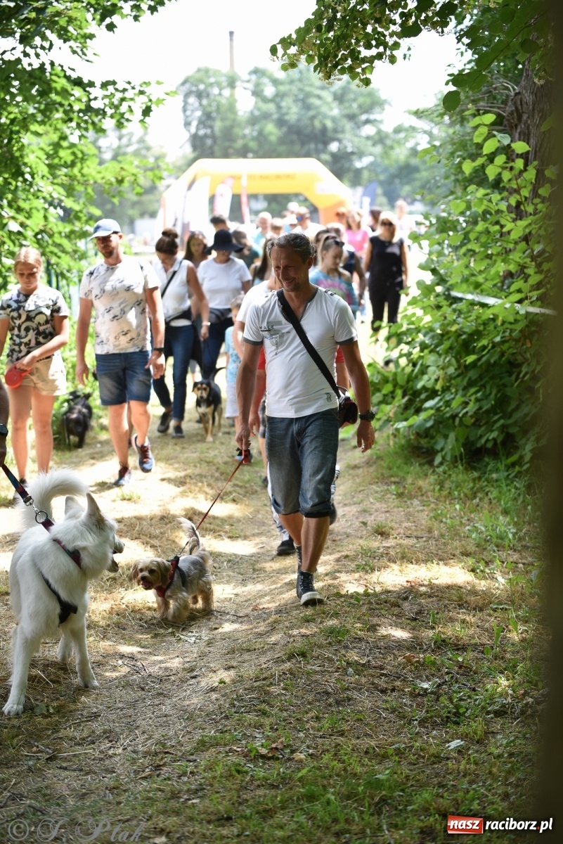 Zdjęcie w galerii na portalu naszraciborz.pl: I raciborskie zawody w dogtrekkingu [FOTO i WIDEO] wiadomości z regionu
