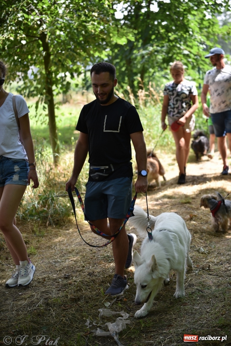 Zdjęcie w galerii na portalu naszraciborz.pl: I raciborskie zawody w dogtrekkingu [FOTO i WIDEO] wiadomości z regionu