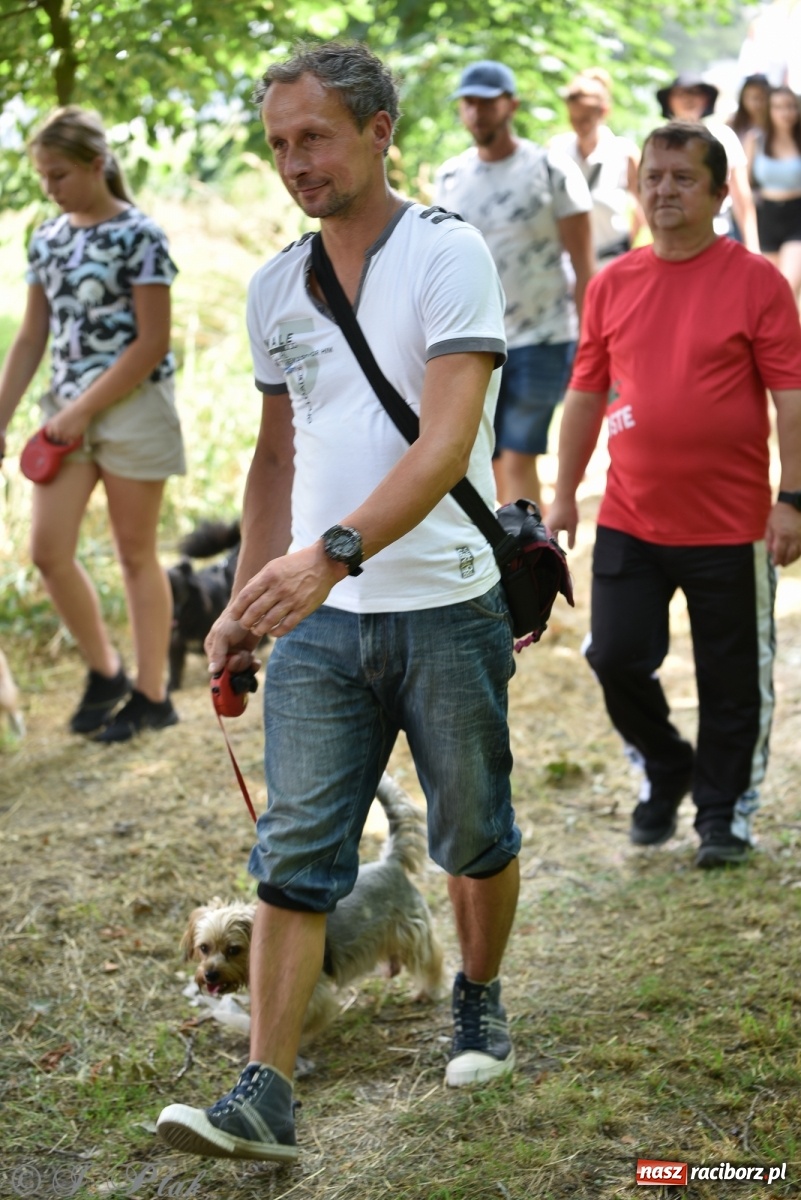 Zdjęcie w galerii na portalu naszraciborz.pl: I raciborskie zawody w dogtrekkingu [FOTO i WIDEO] wiadomości z regionu