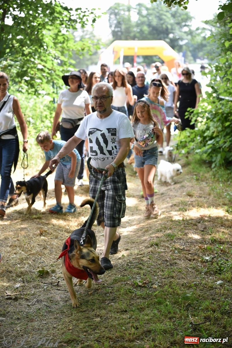 Zdjęcie w galerii na portalu naszraciborz.pl: I raciborskie zawody w dogtrekkingu [FOTO i WIDEO] wiadomości z regionu