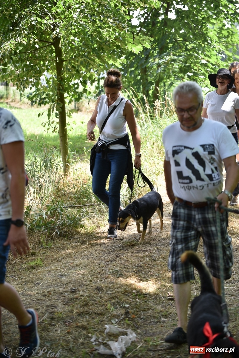 Zdjęcie w galerii na portalu naszraciborz.pl: I raciborskie zawody w dogtrekkingu [FOTO i WIDEO] wiadomości z regionu