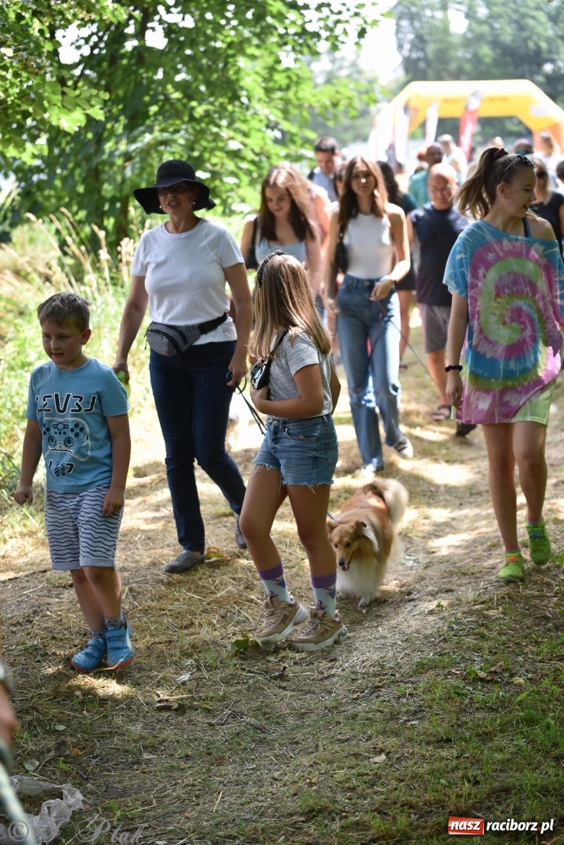 Zdjęcie w galerii na portalu naszraciborz.pl: I raciborskie zawody w dogtrekkingu [FOTO i WIDEO] wiadomości z regionu