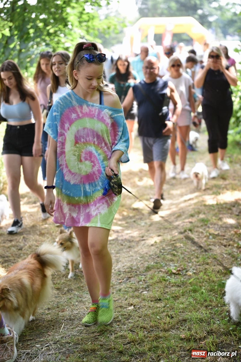 Zdjęcie w galerii na portalu naszraciborz.pl: I raciborskie zawody w dogtrekkingu [FOTO i WIDEO] wiadomości z regionu