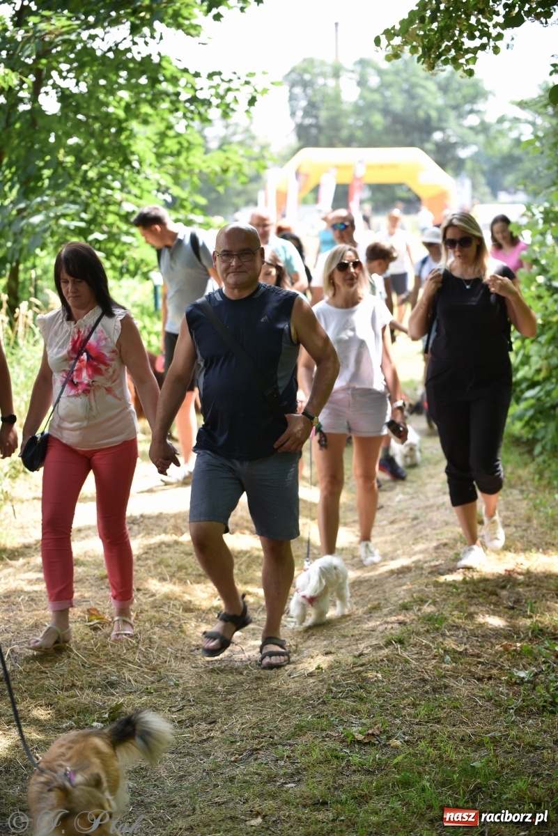Zdjęcie w galerii na portalu naszraciborz.pl: I raciborskie zawody w dogtrekkingu [FOTO i WIDEO] wiadomości z regionu