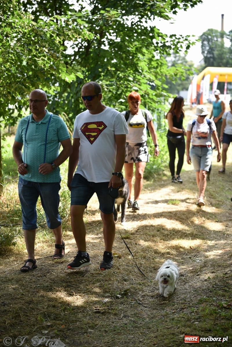 Zdjęcie w galerii na portalu naszraciborz.pl: I raciborskie zawody w dogtrekkingu [FOTO i WIDEO] wiadomości z regionu