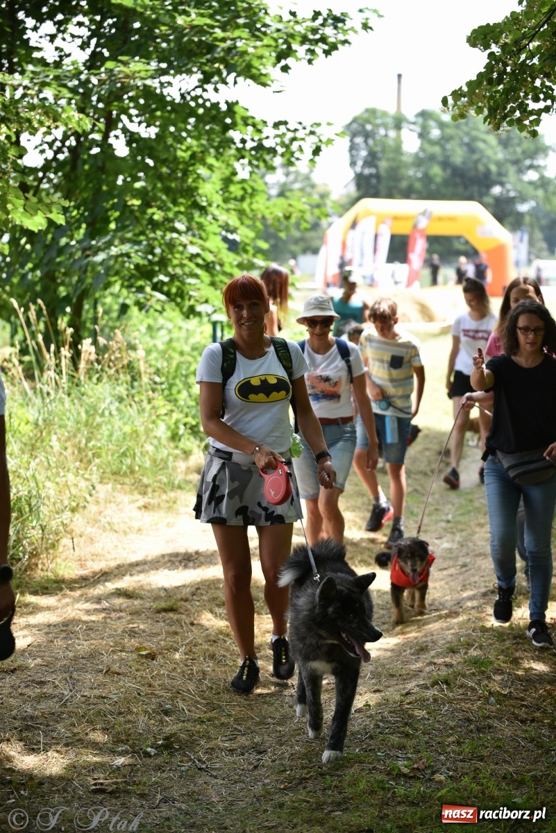 Zdjęcie w galerii na portalu naszraciborz.pl: I raciborskie zawody w dogtrekkingu [FOTO i WIDEO] wiadomości z regionu