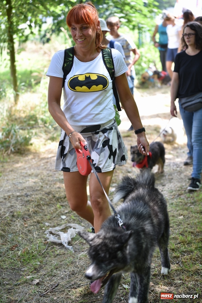 Zdjęcie w galerii na portalu naszraciborz.pl: I raciborskie zawody w dogtrekkingu [FOTO i WIDEO] wiadomości z regionu