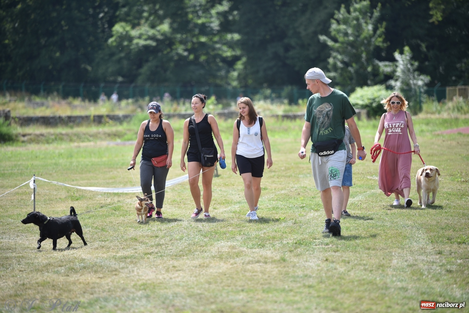 Zdjęcie w galerii na portalu naszraciborz.pl: I raciborskie zawody w dogtrekkingu [FOTO i WIDEO] wiadomości z regionu