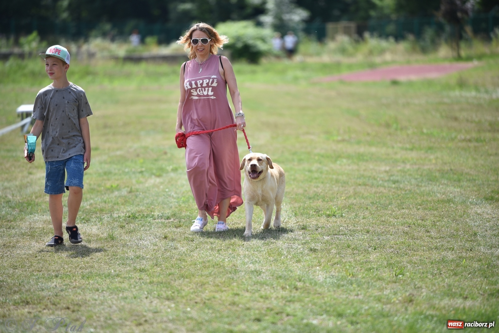 Zdjęcie w galerii na portalu naszraciborz.pl: I raciborskie zawody w dogtrekkingu [FOTO i WIDEO] wiadomości z regionu