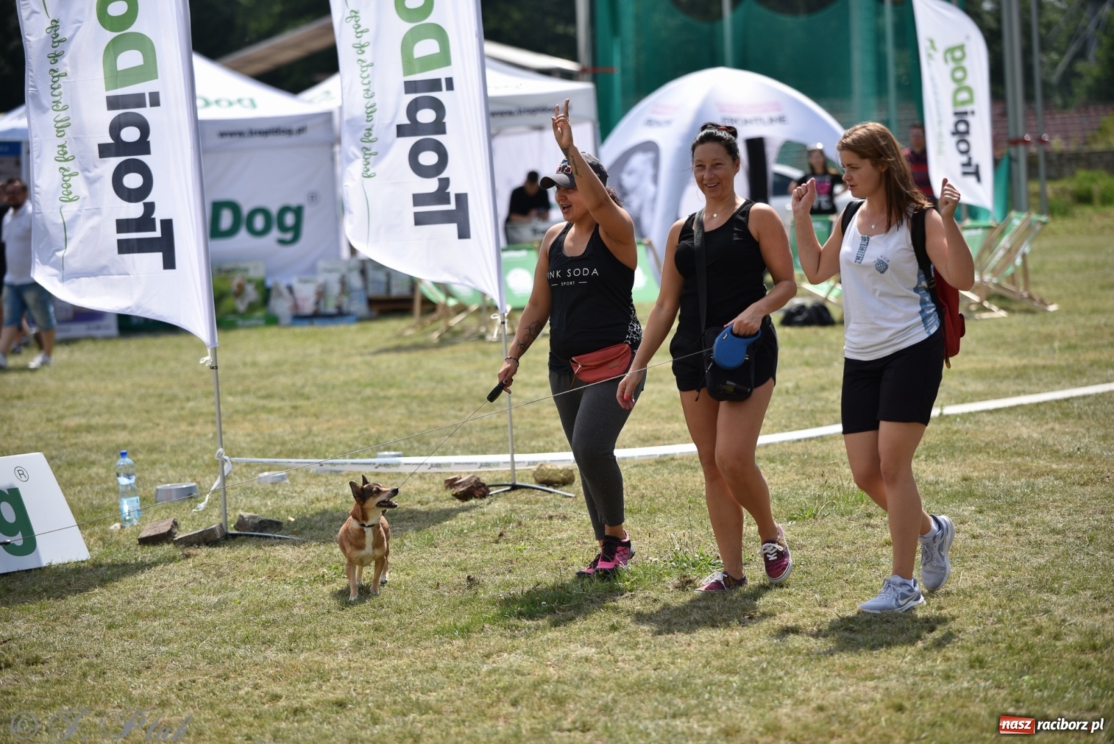 Zdjęcie w galerii na portalu naszraciborz.pl: I raciborskie zawody w dogtrekkingu [FOTO i WIDEO] wiadomości z regionu