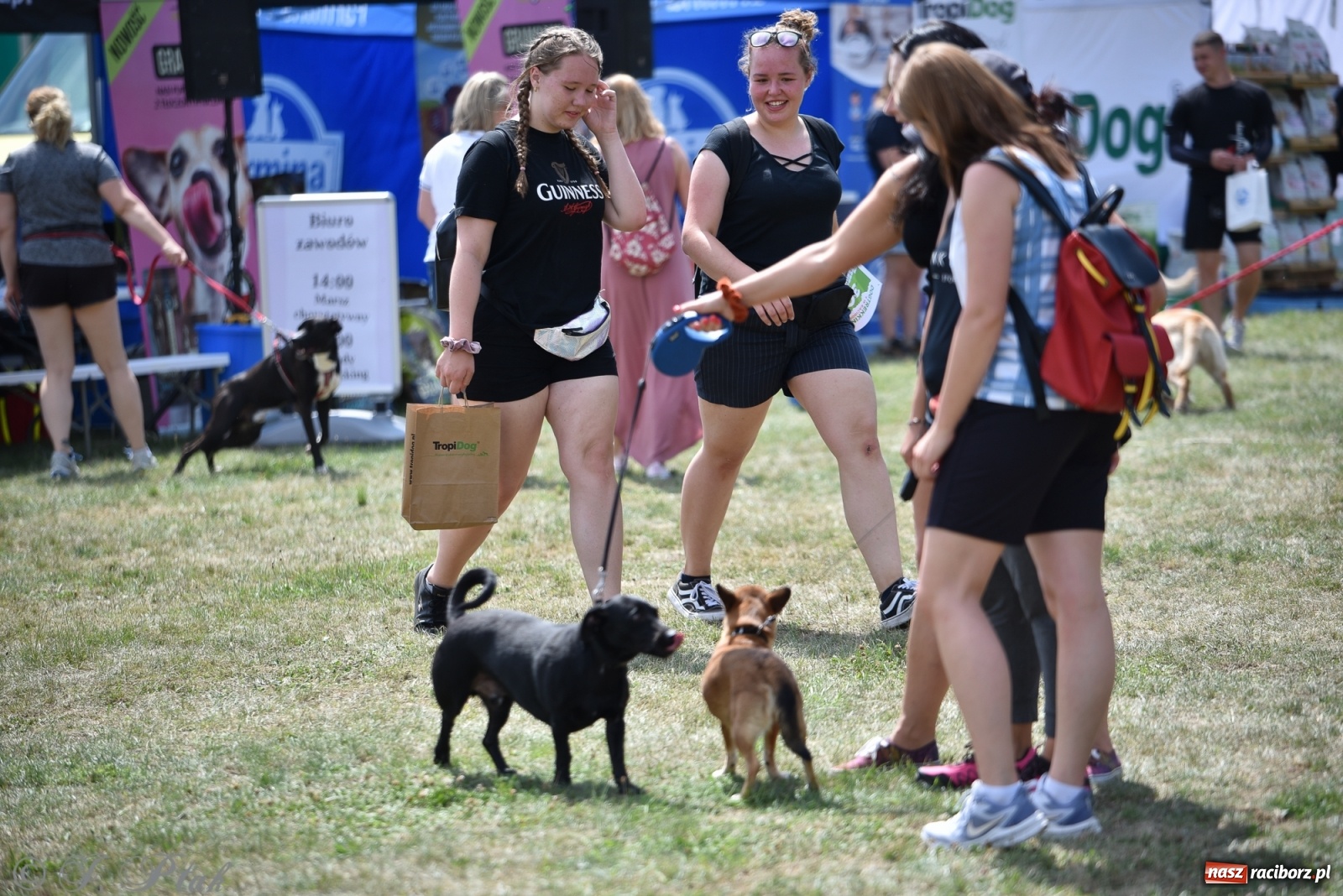 Zdjęcie w galerii na portalu naszraciborz.pl: I raciborskie zawody w dogtrekkingu [FOTO i WIDEO] wiadomości z regionu