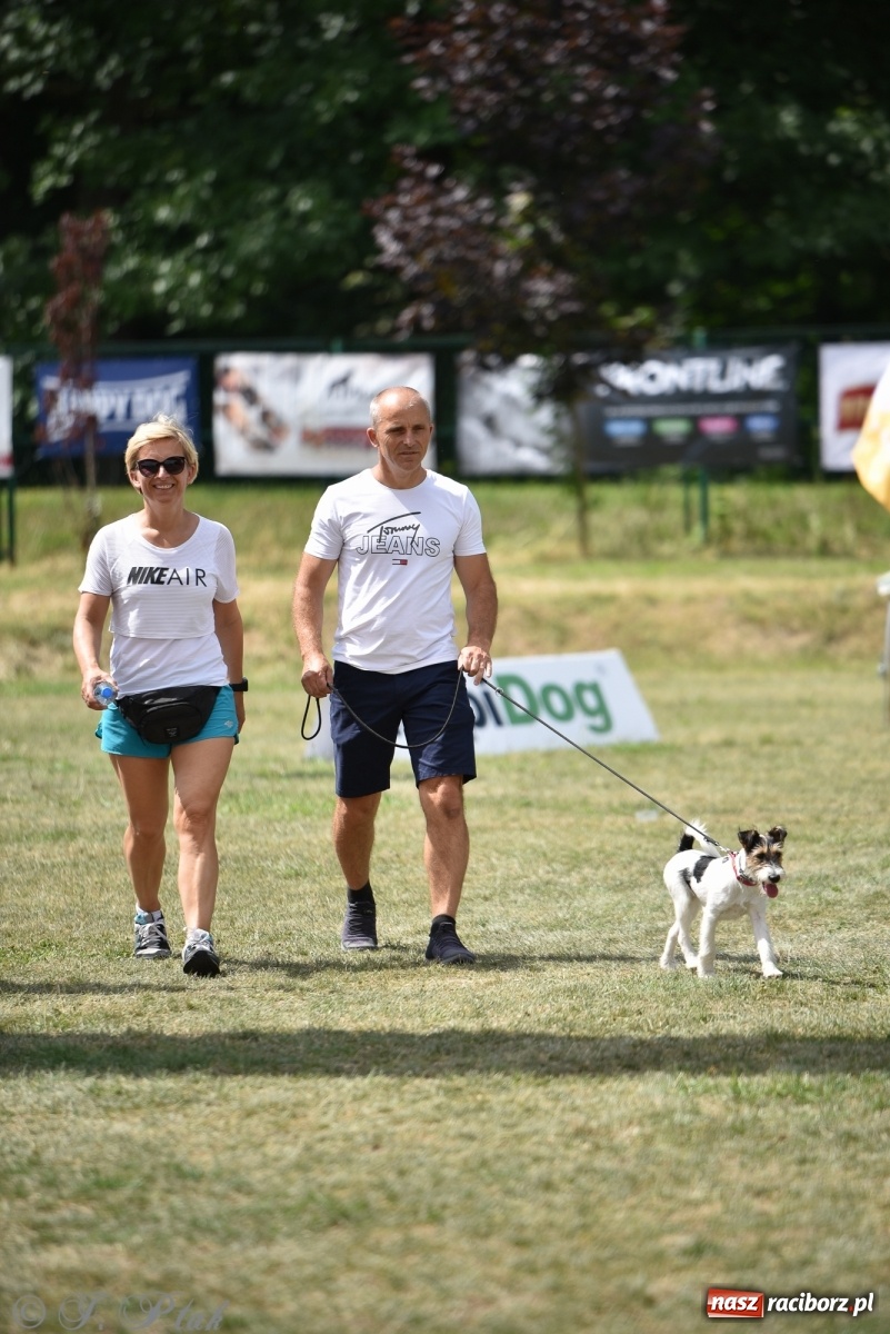Zdjęcie w galerii na portalu naszraciborz.pl: I raciborskie zawody w dogtrekkingu [FOTO i WIDEO] wiadomości z regionu