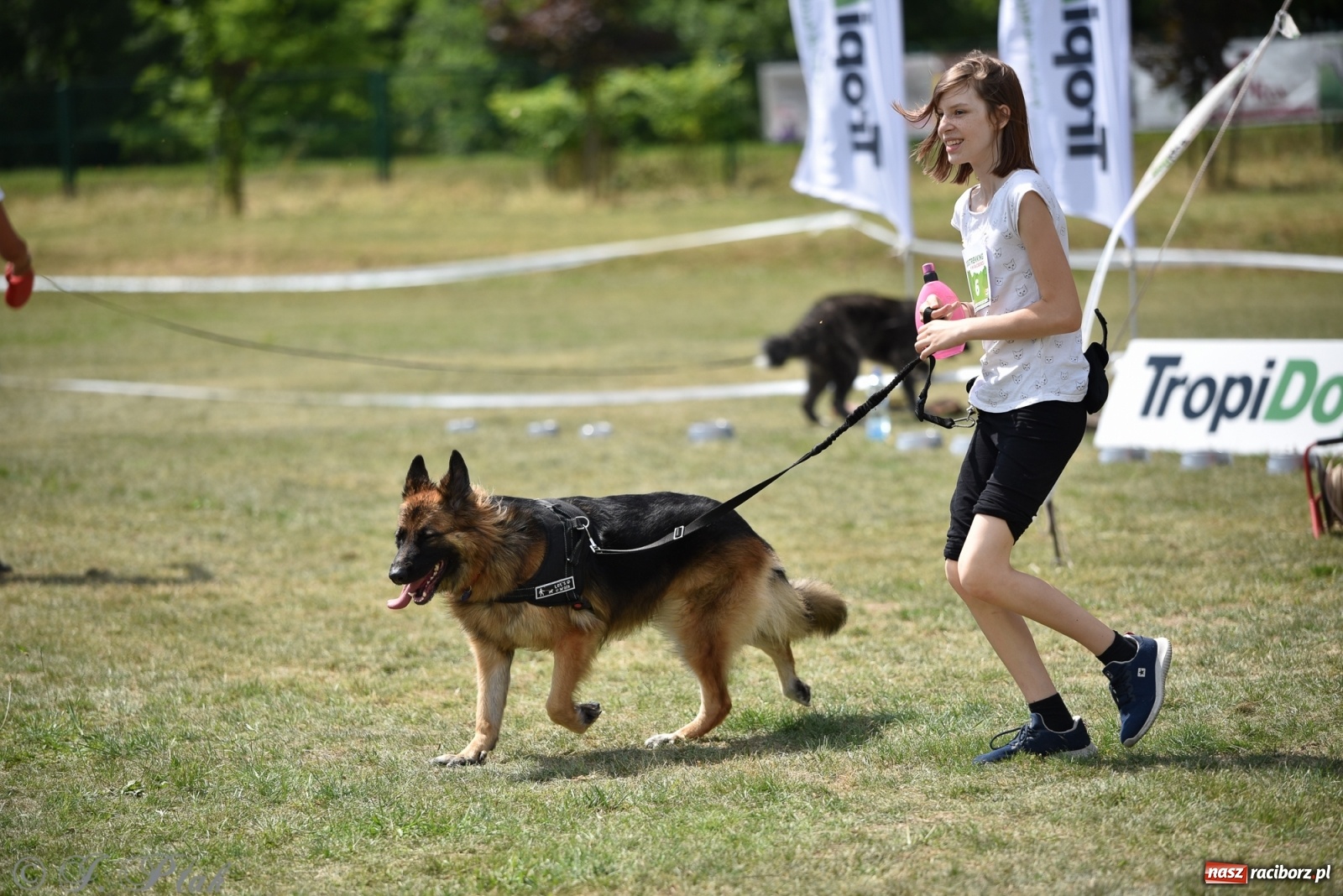 Zdjęcie w galerii na portalu naszraciborz.pl: I raciborskie zawody w dogtrekkingu [FOTO i WIDEO] wiadomości z regionu