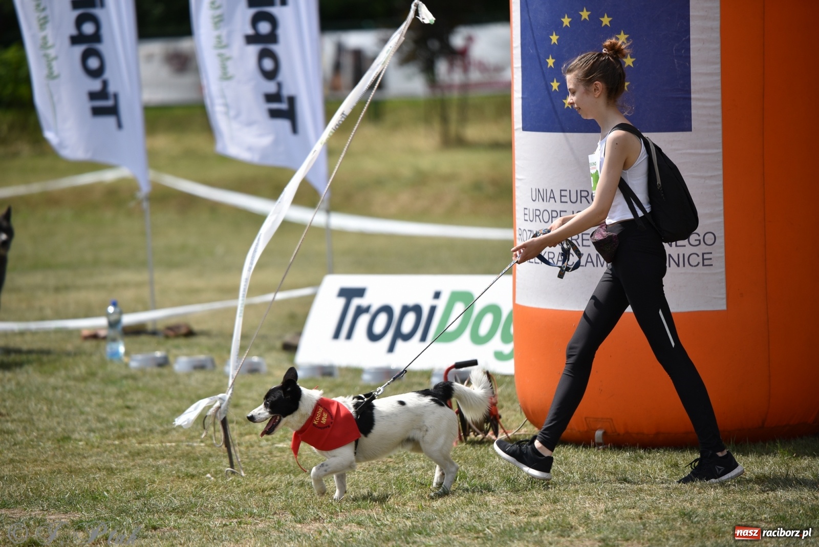 Zdjęcie w galerii na portalu naszraciborz.pl: I raciborskie zawody w dogtrekkingu [FOTO i WIDEO] wiadomości z regionu
