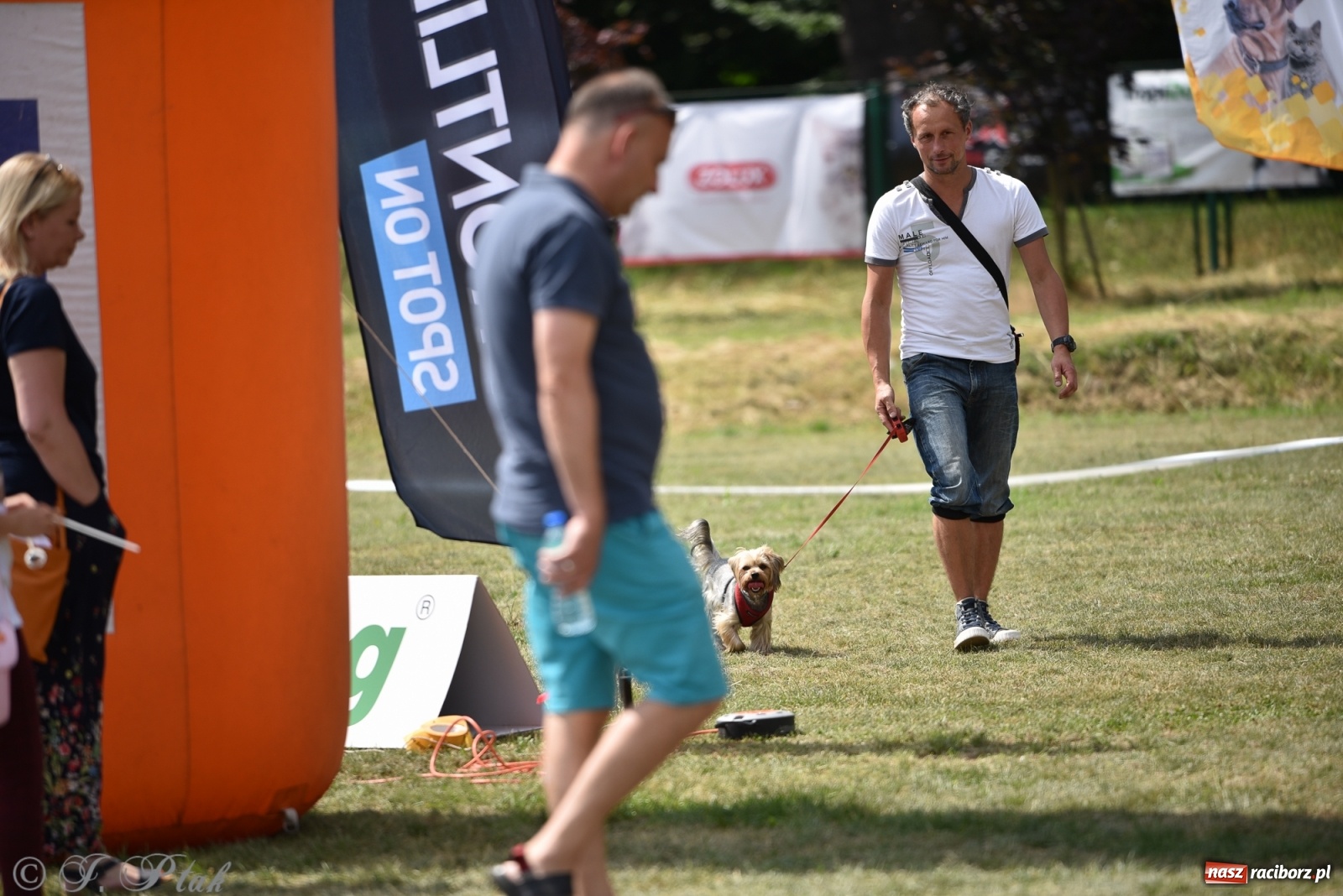 Zdjęcie w galerii na portalu naszraciborz.pl: I raciborskie zawody w dogtrekkingu [FOTO i WIDEO] wiadomości z regionu
