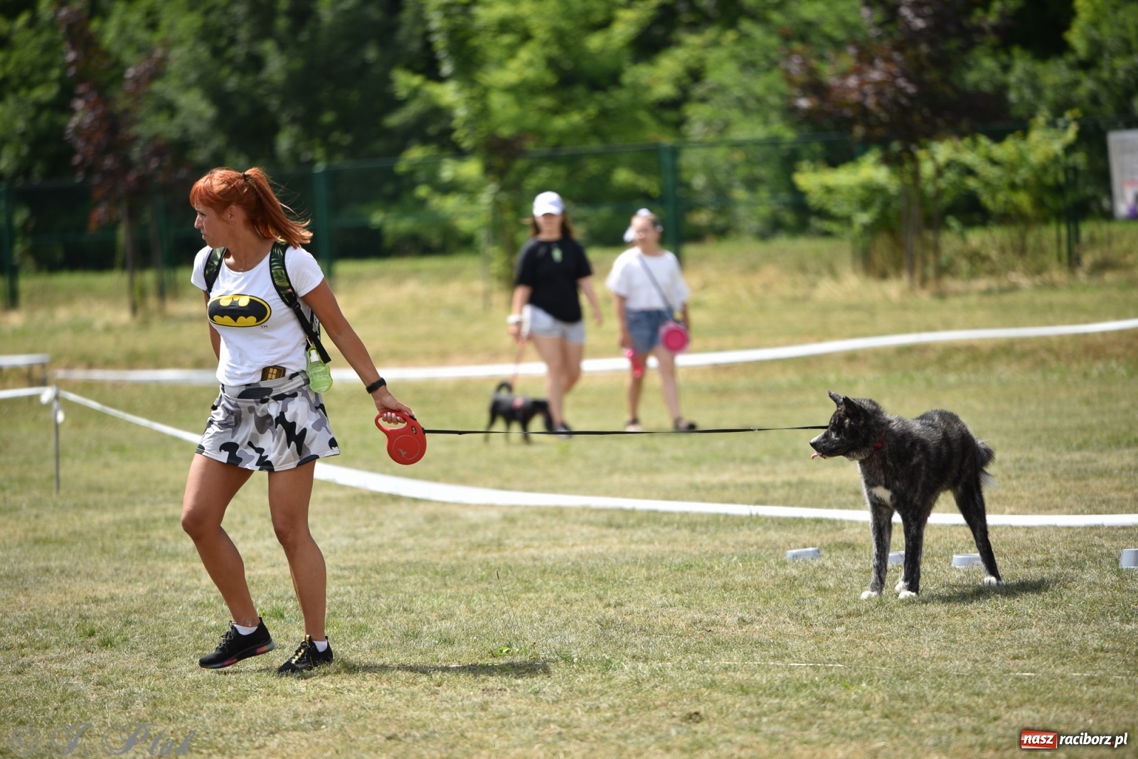Zdjęcie w galerii na portalu naszraciborz.pl: I raciborskie zawody w dogtrekkingu [FOTO i WIDEO] wiadomości z regionu