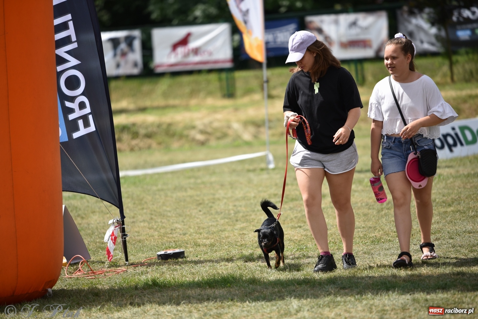 Zdjęcie w galerii na portalu naszraciborz.pl: I raciborskie zawody w dogtrekkingu [FOTO i WIDEO] wiadomości z regionu