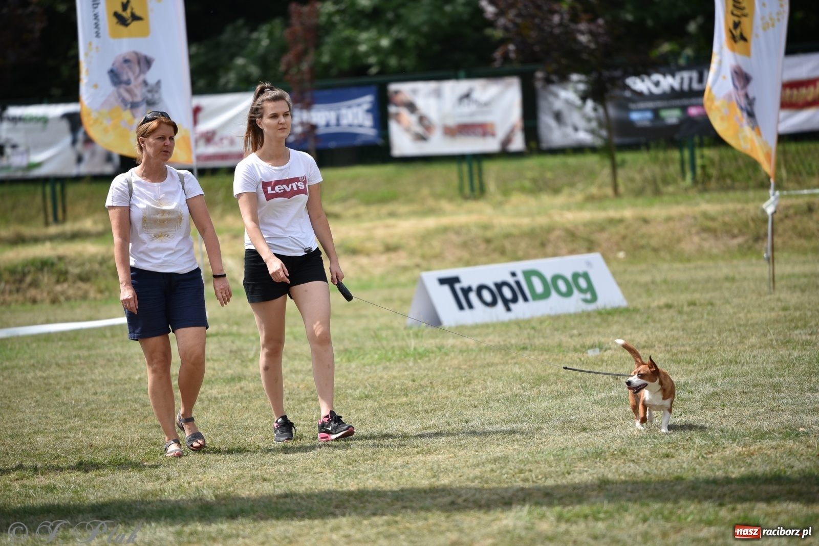 Zdjęcie w galerii na portalu naszraciborz.pl: I raciborskie zawody w dogtrekkingu [FOTO i WIDEO] wiadomości z regionu