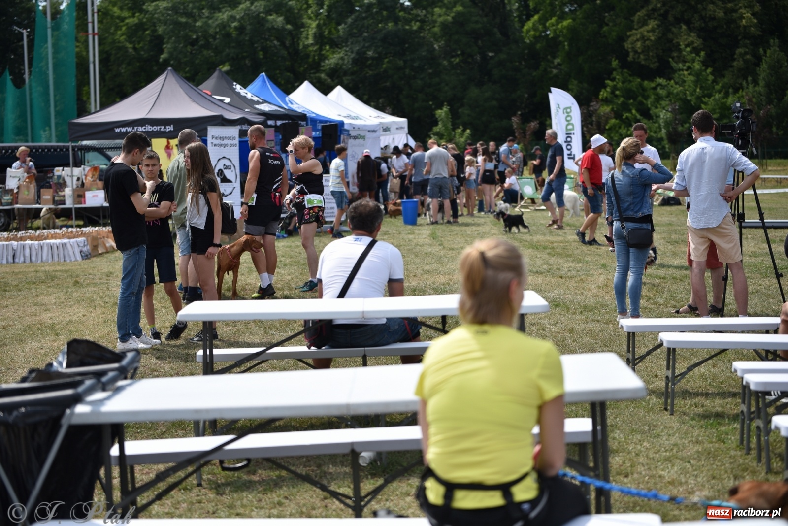 Zdjęcie w galerii na portalu naszraciborz.pl: I raciborskie zawody w dogtrekkingu [FOTO i WIDEO] wiadomości z regionu