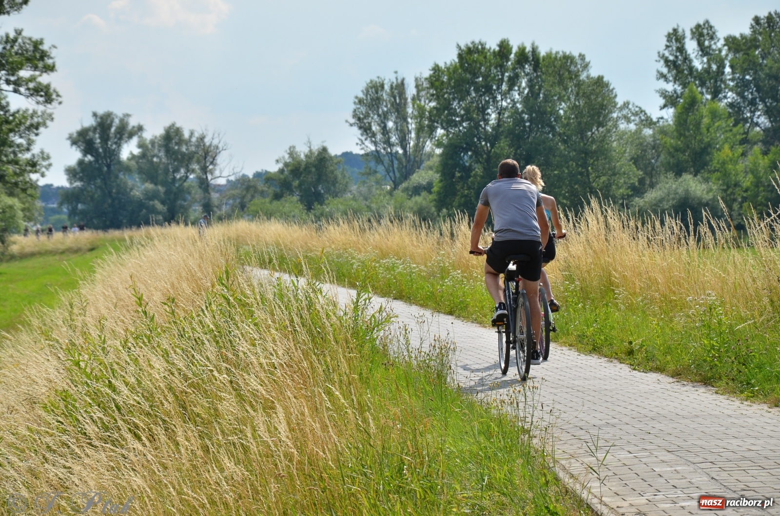 Zdjęcie w galerii na portalu naszraciborz.pl: Raport z budowy wschodniej obwodnicy [FOTO i WIDEO] wiadomości z regionu