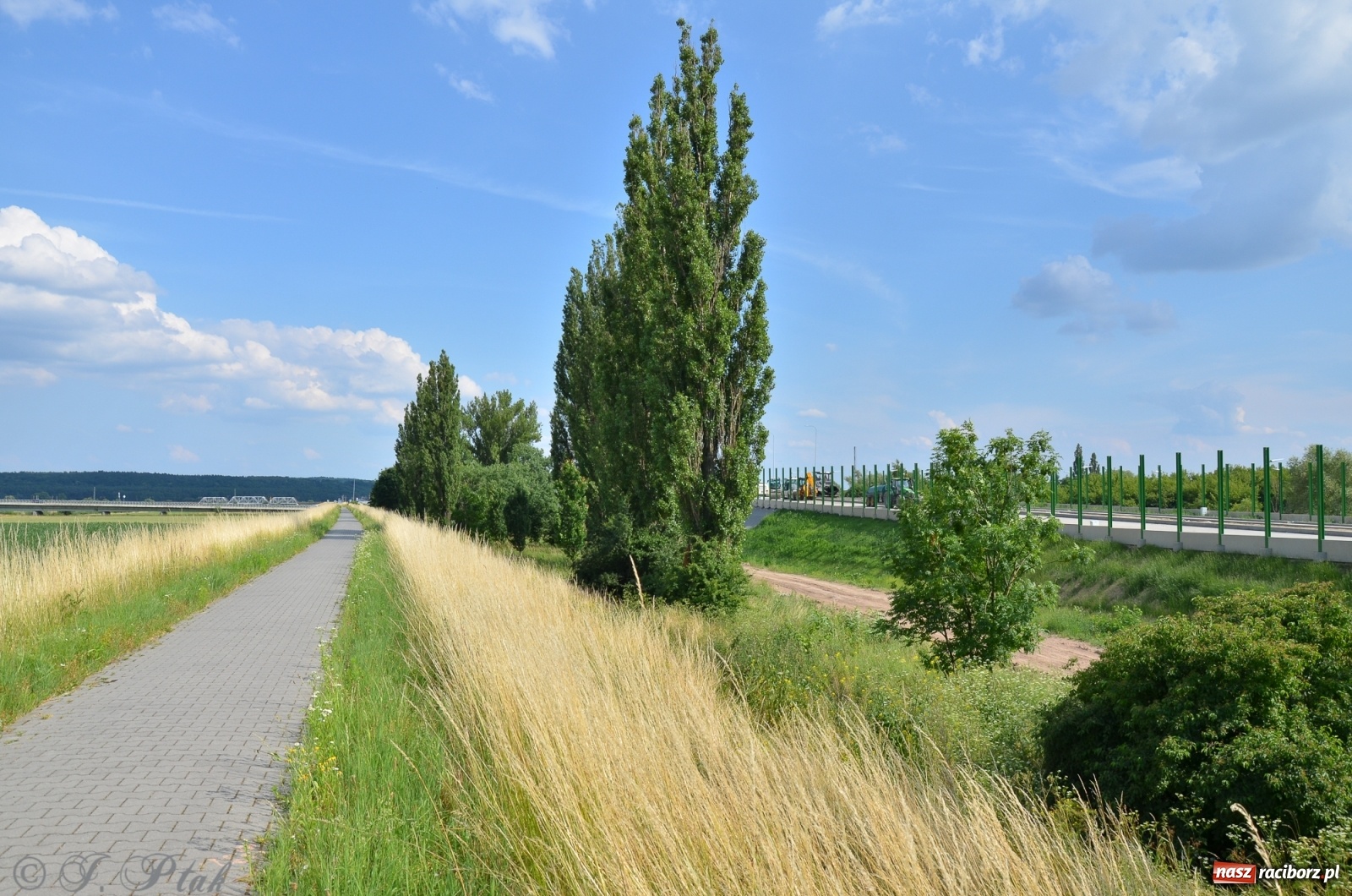 Zdjęcie w galerii na portalu naszraciborz.pl: Raport z budowy wschodniej obwodnicy [FOTO i WIDEO] wiadomości z regionu
