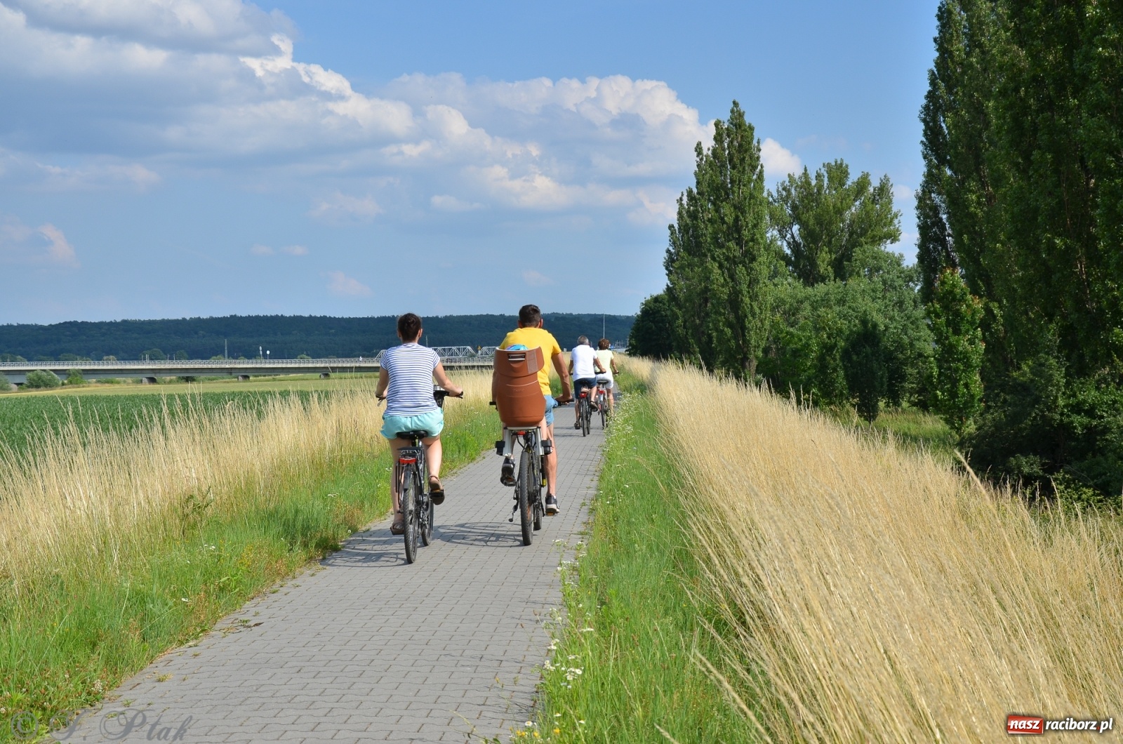Zdjęcie w galerii na portalu naszraciborz.pl: Raport z budowy wschodniej obwodnicy [FOTO i WIDEO] wiadomości z regionu