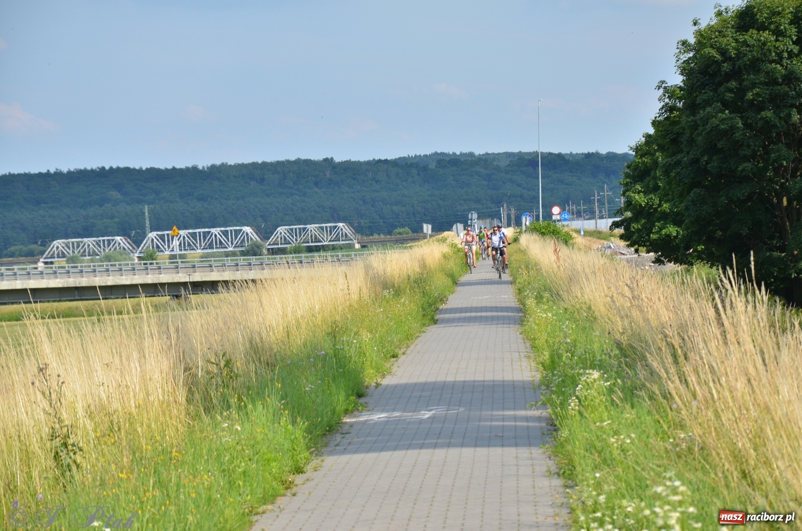 Zdjęcie w galerii na portalu naszraciborz.pl: Raport z budowy wschodniej obwodnicy [FOTO i WIDEO] wiadomości z regionu