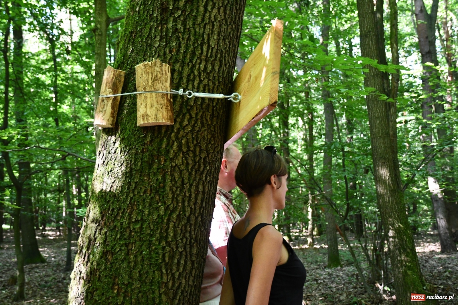 Zdjęcie w galerii na portalu naszraciborz.pl: Jedenaście stacji Dezyderaty. Nowa ścieżka w lesie Obora wiadomości z regionu