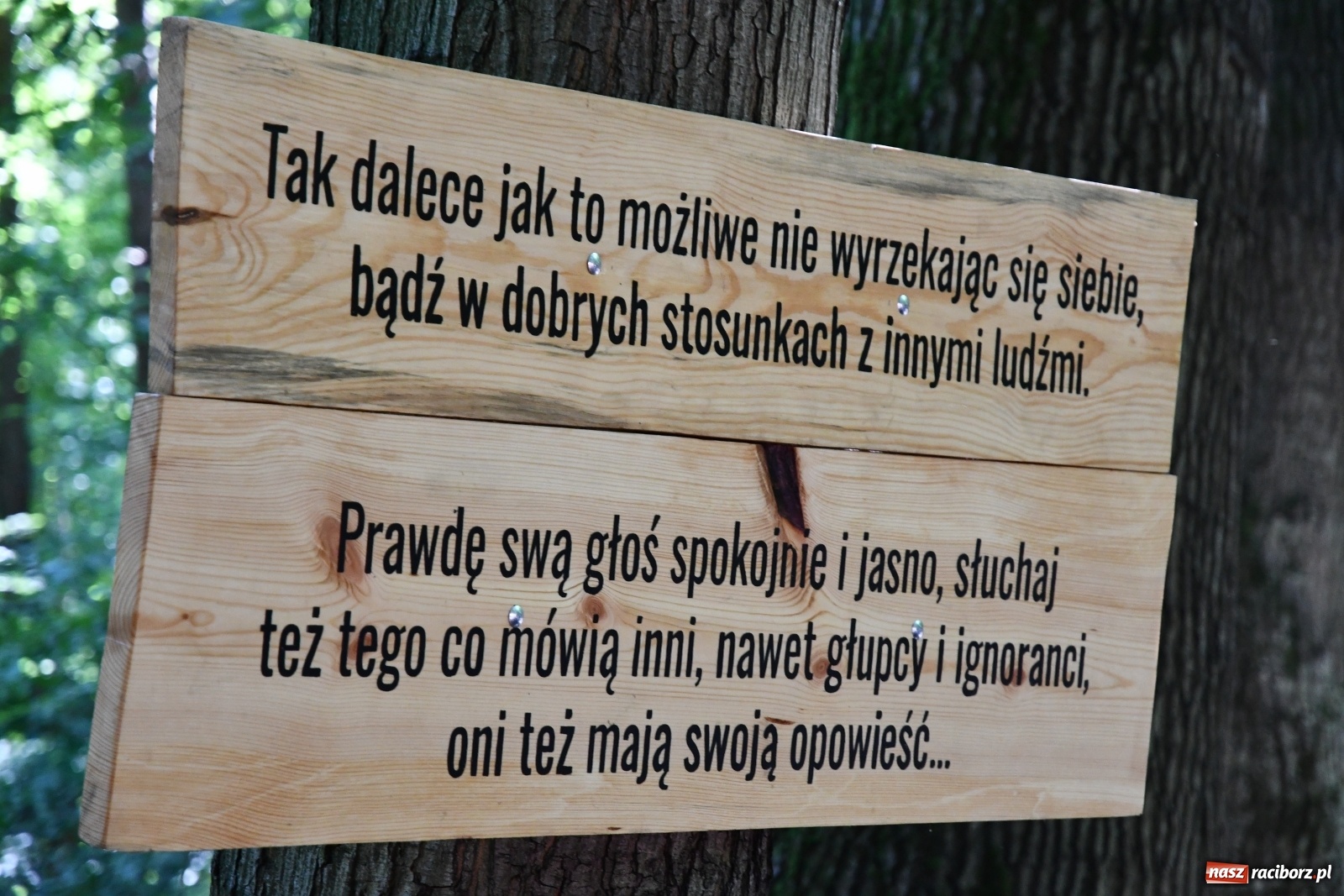 Zdjęcie w galerii na portalu naszraciborz.pl: Jedenaście stacji Dezyderaty. Nowa ścieżka w lesie Obora wiadomości z regionu