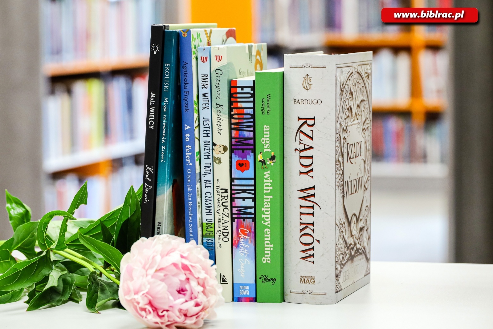 Zdjęcie w galerii na portalu naszraciborz.pl: Wakacje z książką. Biblioteczne nowości dla małych i większych  wiadomości z regionu